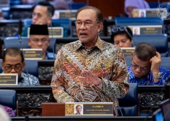 Anwar 13MP