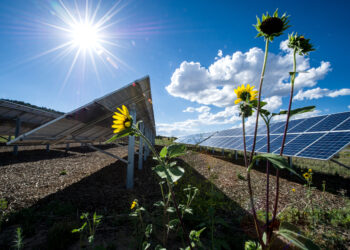 July 30, 2013 - 67 kW (STC rating) photovoltaic array at the Mesa Verde Visitor and Research Center in Montezuma County, Colorado.  The array consists of 286 Schott Poly 235 watt solar modules (13.8% efficiency) wired in 22 series strings of 13 modules per string.  Coupled with a micro-hydro system and solar water heating, the on-site renewable energy systems are capable of providing 95% of the building energy requirements.  (Photo by Dennis Schroeder / NREL)