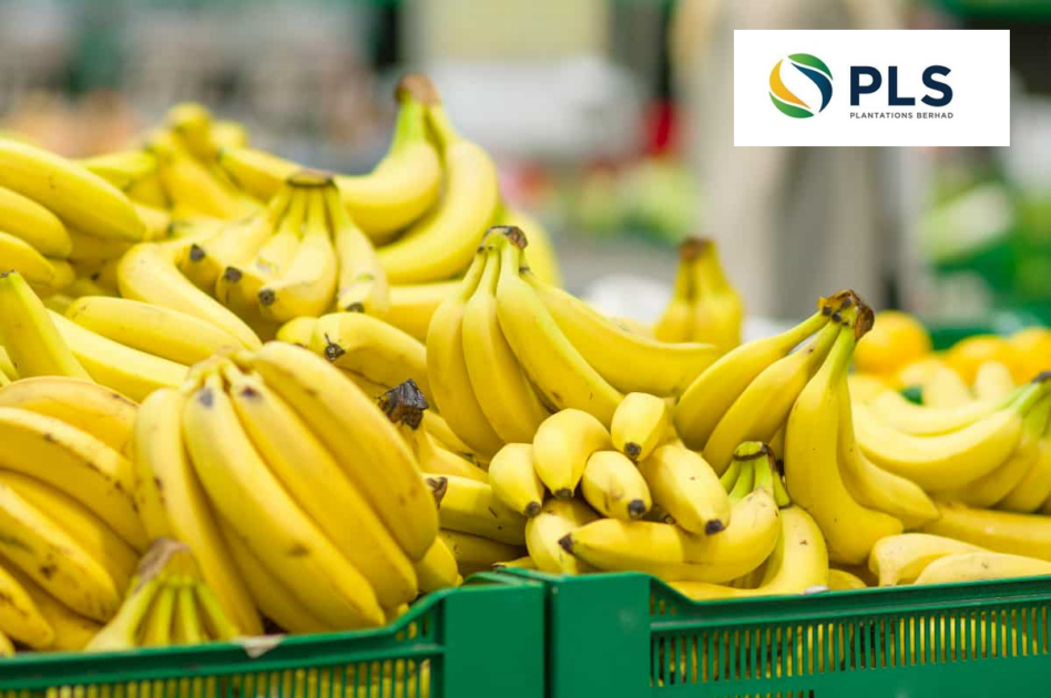 PLS Plantations and Agrofresh to develop Malaysia’s largest banana
