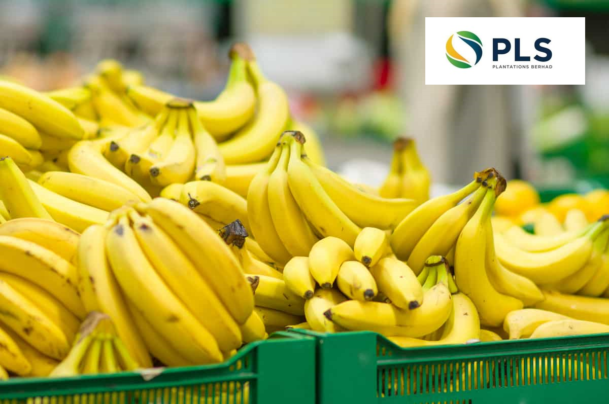 pls-plantations-and-agrofresh-to-develop-malaysia-s-largest-banana