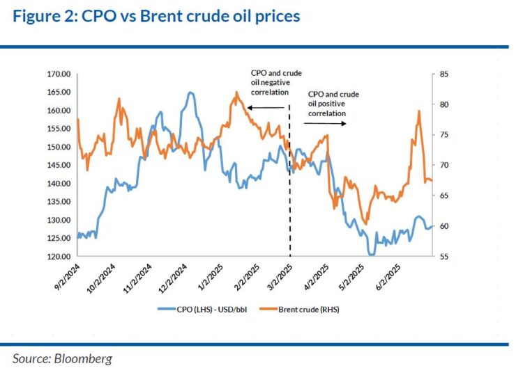 CPO prices dip on geopolitical tensions, expected to stabilise in 2026