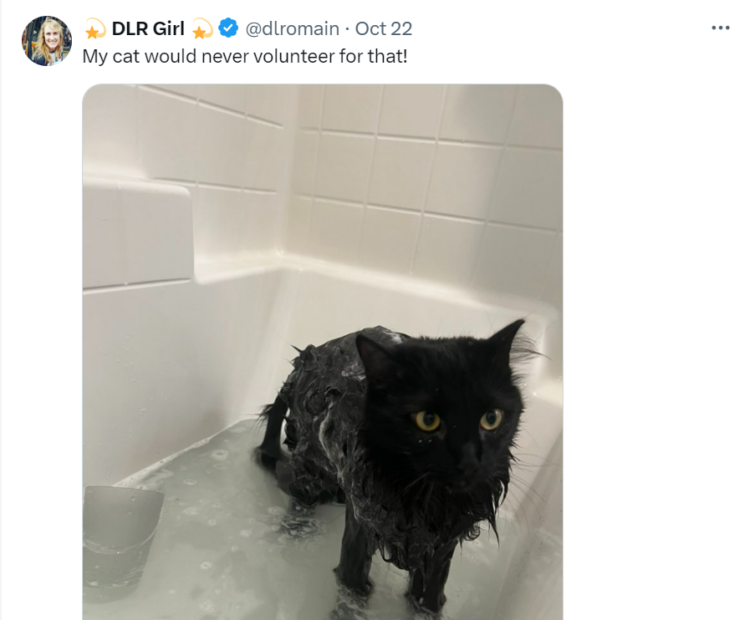 Making a video on how to bathe a baby but don’t have a baby? Use a cat.