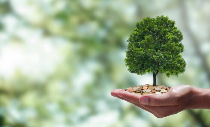 Govt weighs carbon pricing model similar to Singapore’s framework