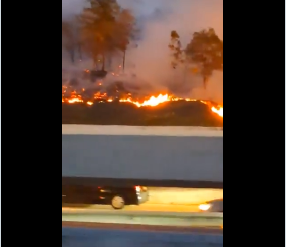 Vast forest fire at Bukit Jelutung captured in viral video
