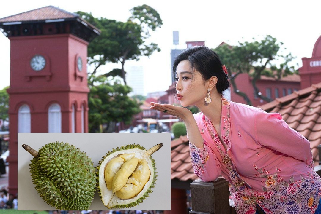 “Malaysia is relishing the fruits from durian, Fan Bingbing diplomacy ...