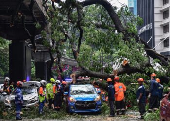 KUALA LUMPUR, 7 Mei -- Kejadian pokok tumbang yang menyebabkan sekurang-kurangnya tujuh belas kenderaan terkesan dihempap pokok berkenaan akibat hujan lebat dan angin kencang di Jalan Sultan Ismail hari ini.

--fotoBERNAMA (2024) HAK CIPTA TERPELIHARA