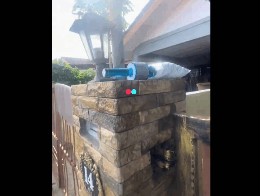 TikTok video of delivery guy using microphone has netizens in stitches