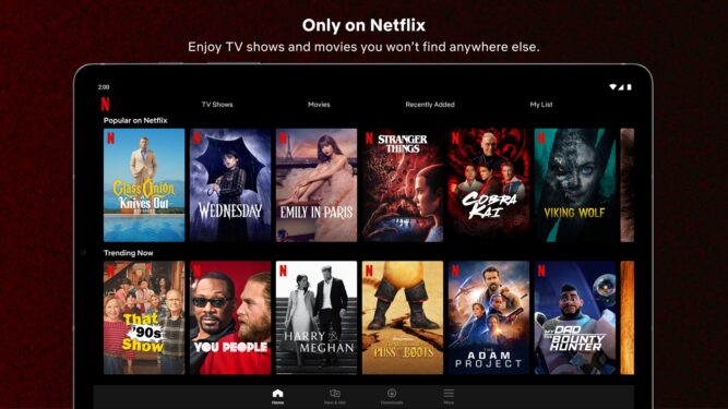 Netflix to reveal comprehensive viewership data on all shows for first time