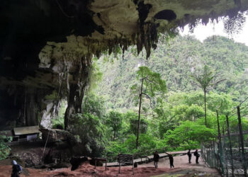 Image: UNESCO World Heritage Centre