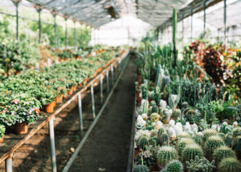Nursery