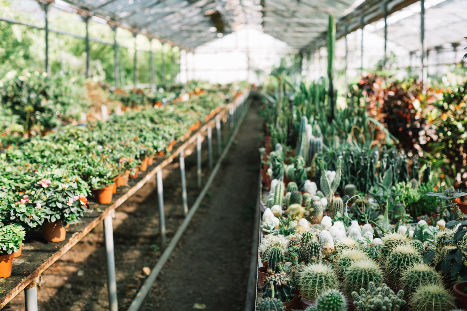 Nursery