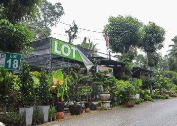 Nursery along Jalan Sungai Buluh which were asked to vacates and relocation. — YAP CHEE HONG/The Star