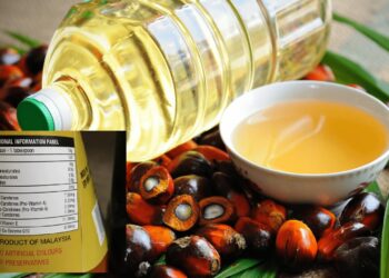 BL_Top 10 Palm Oil Companies in India_Kompass India B2B Directory_14.05.2024 - 1