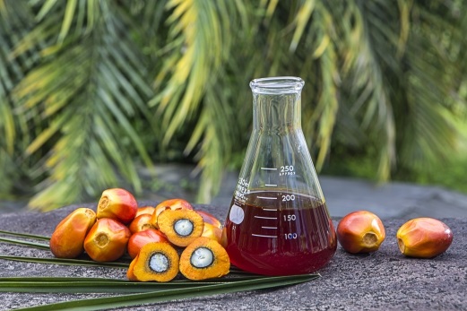 [Image: Palm-oil-USE.jpg]