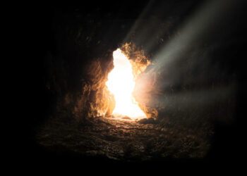 (Image: Unsplash/Bruno Van der Kraan)