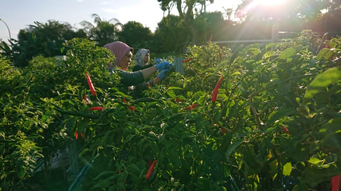 Metmalaysia Issues Continuous Heavy Rain Warnings Across Multiple States