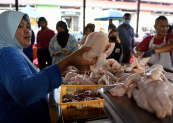 SEREMBAN, 29 April -- Pekerja gerai ayam segar melayan orang ramai yang membeli barangan keperluan untuk persiapan menyambut Hari Raya Aidilfitri ketika tinjauan di Pasar Basah Ampangan hari ini.

Sambutan Hari Raya Aidilfitri tahun ini dijangka paling meriah, tambahan selepas dua tahun tidak pulang beraya akibat Perintah Kawalan Pergerakan (PKP) yang dilaksanakan bagi mengekang penularan COVID-19.

--fotoBERNAMA (2022) HAK CIPTA TERPELIHARA.