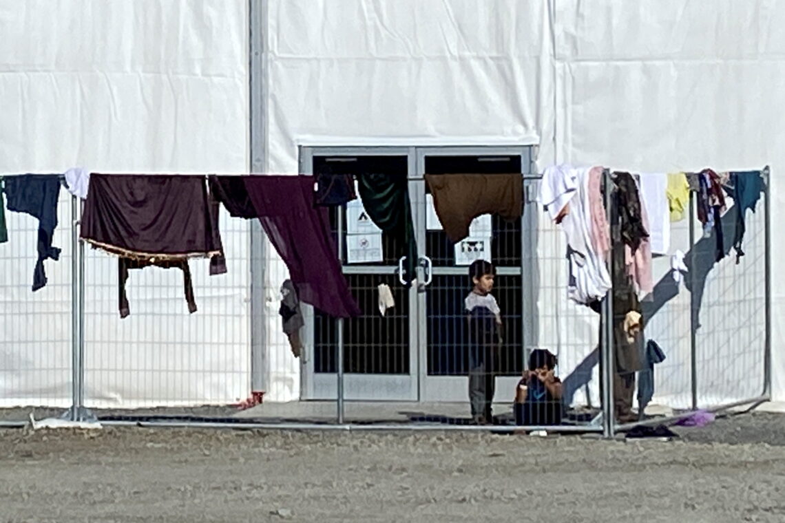 Over 100 million people forcibly displaced across the globe, UN says ...