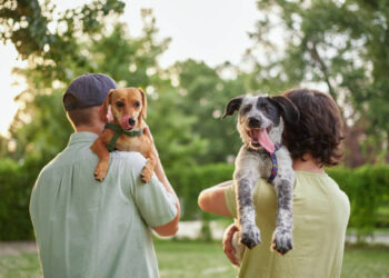 Support, care or happy family, men and kids bonding with foster puppy or pet and enjoying time together. High quality photo