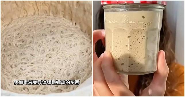 Young Chinese turn to “pet yeast” for calm and companionship