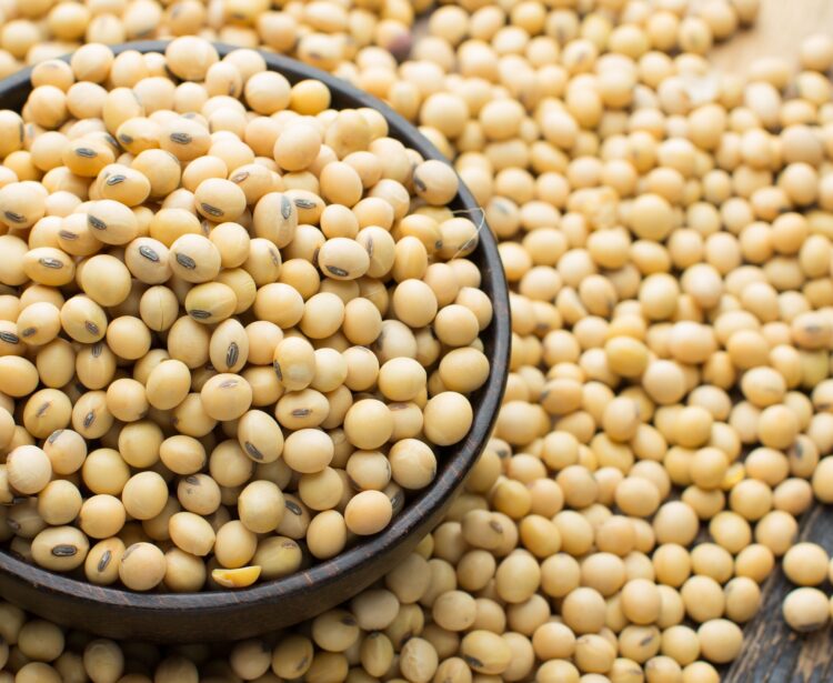 Soy oil prices skyrocket as Indonesia bans palm oil exports Focus